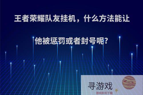 王者荣耀队友挂机，什么方法能让他被惩罚或者封号呢?