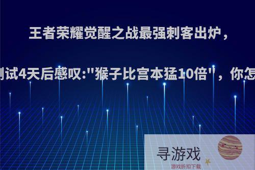 王者荣耀觉醒之战最强刺客出炉，梦泪测试4天后感叹: