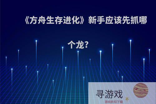 《方舟生存进化》新手应该先抓哪个龙?