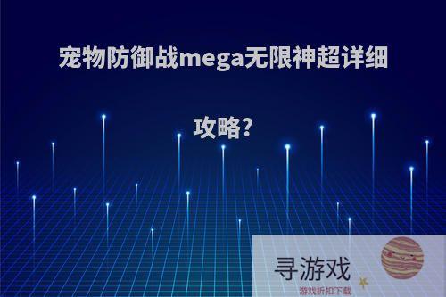 宠物防御战mega无限神超详细攻略?