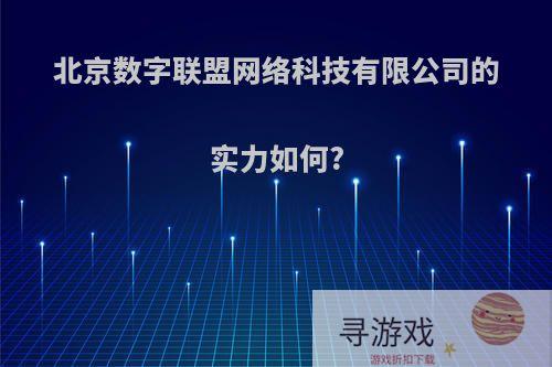 北京数字联盟网络科技有限公司的实力如何?