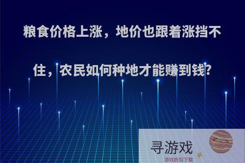 粮食价格上涨，地价也跟着涨挡不住，农民如何种地才能赚到钱?