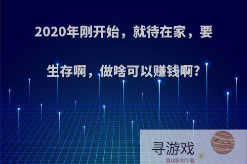 2020年刚开始，就待在家，要生存啊，做啥可以赚钱啊?