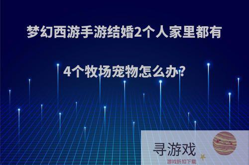 梦幻西游手游结婚2个人家里都有4个牧场宠物怎么办?