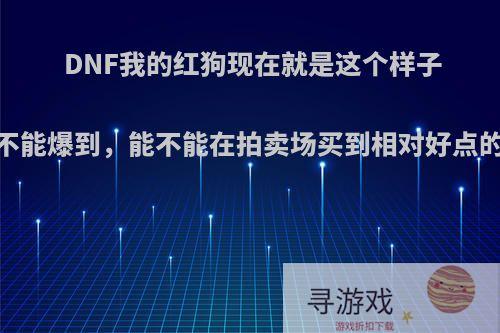 DNF我的红狗现在就是这个样子，总是不能爆到，能不能在拍卖场买到相对好点的装备呢?