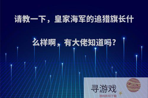 请教一下，皇家海军的追猎旗长什么样啊，有大佬知道吗?