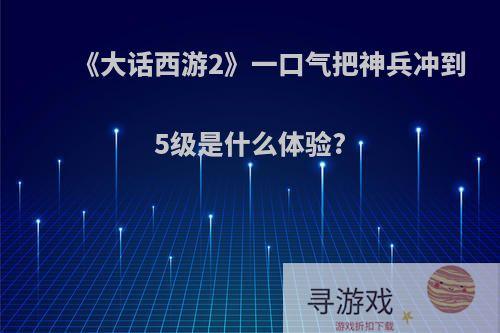 《大话西游2》一口气把神兵冲到5级是什么体验?