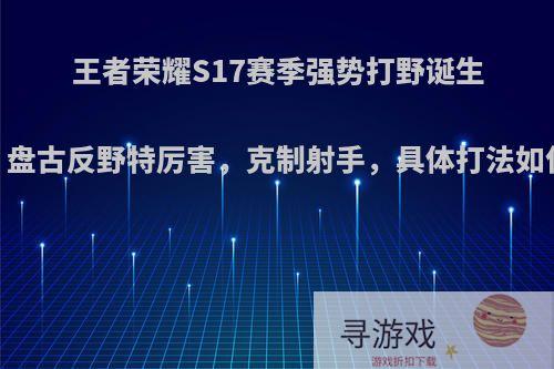 王者荣耀S17赛季强势打野诞生，盘古反野特厉害，克制射手，具体打法如何?