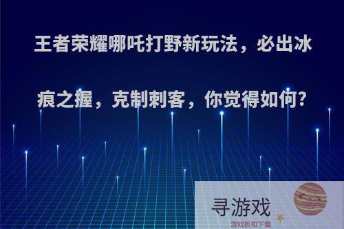 王者荣耀哪吒打野新玩法，必出冰痕之握，克制刺客，你觉得如何?