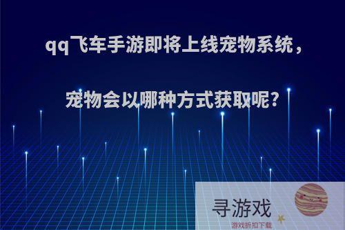 qq飞车手游即将上线宠物系统，宠物会以哪种方式获取呢?