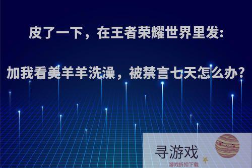 皮了一下，在王者荣耀世界里发:加我看美羊羊洗澡，被禁言七天怎么办?