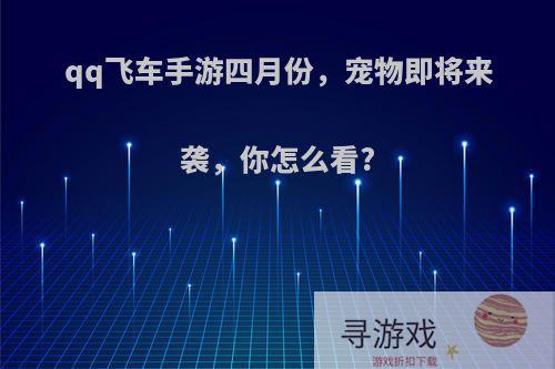 qq飞车手游四月份，宠物即将来袭，你怎么看?