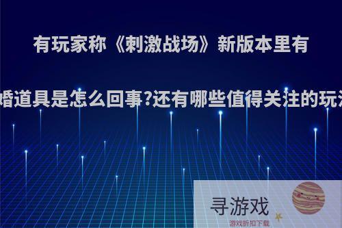 有玩家称《刺激战场》新版本里有求婚道具是怎么回事?还有哪些值得关注的玩法?