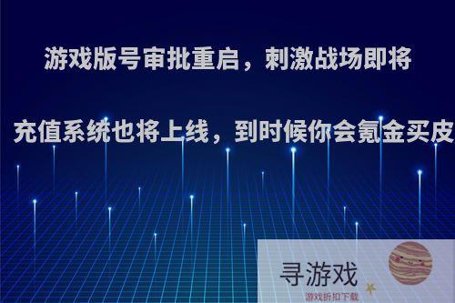 游戏版号审批重启，刺激战场即将公测，充值系统也将上线，到时候你会氪金买皮肤吗?