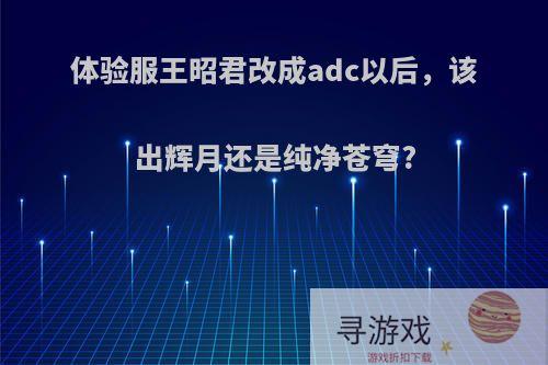 体验服王昭君改成adc以后，该出辉月还是纯净苍穹?