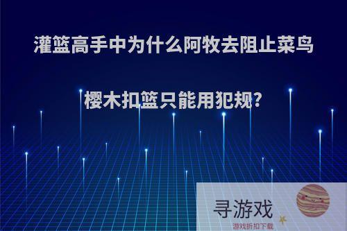 灌篮高手中为什么阿牧去阻止菜鸟樱木扣篮只能用犯规?