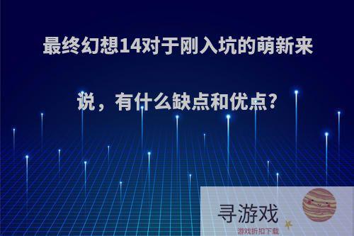 最终幻想14对于刚入坑的萌新来说，有什么缺点和优点?