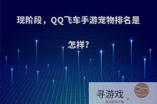 现阶段，QQ飞车手游宠物排名是怎样?