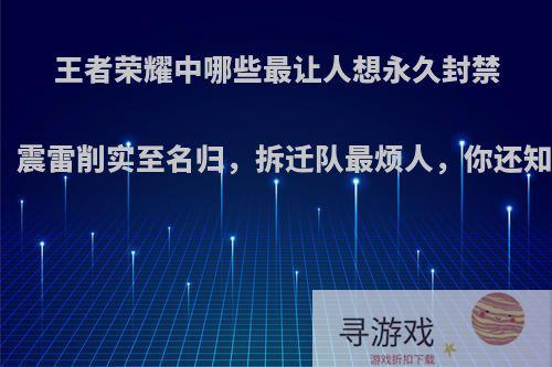 王者荣耀中哪些最让人想永久封禁的组合，震雷削实至名归，拆迁队最烦人，你还知道哪些?