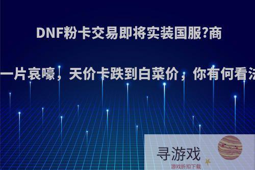 DNF粉卡交易即将实装国服?商人一片哀嚎，天价卡跌到白菜价，你有何看法?