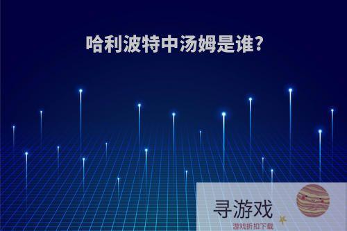 哈利波特中汤姆是谁?