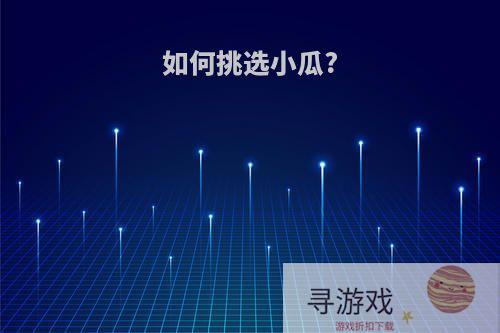 如何挑选小瓜?