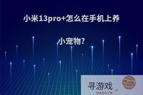 小米13pro+怎么在手机上养小宠物?