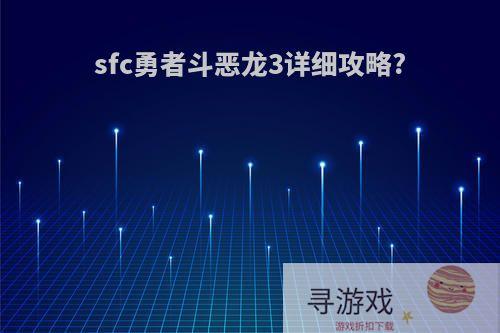 sfc勇者斗恶龙3详细攻略?