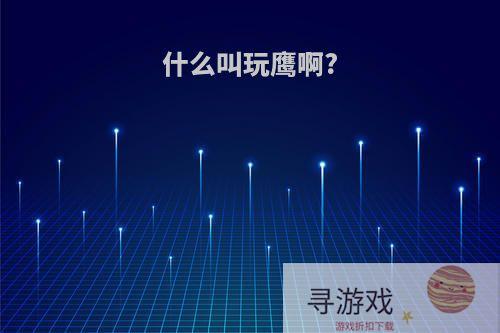 什么叫玩鹰啊?