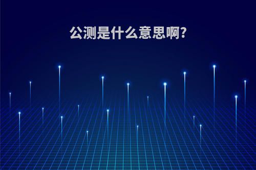 公测是什么意思啊?