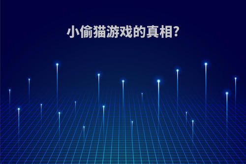 小偷猫游戏的真相?