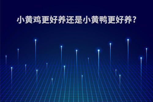 小黄鸡更好养还是小黄鸭更好养?