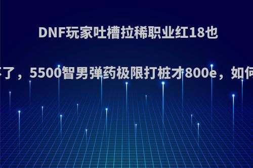 DNF玩家吐槽拉稀职业红18也拯救不了，5500智男弹药极限打桩才800e，如何评价?