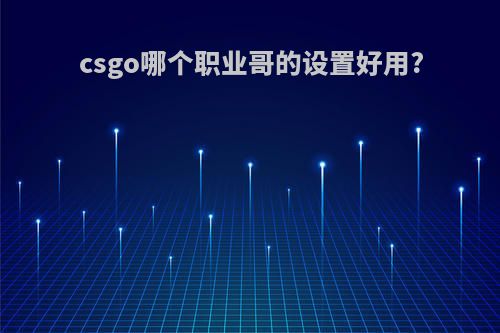 csgo哪个职业哥的设置好用?