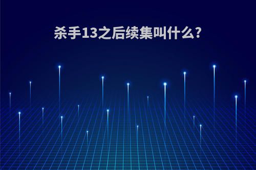 杀手13之后续集叫什么?