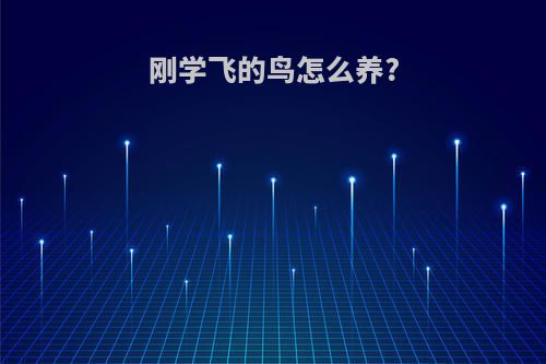 刚学飞的鸟怎么养?