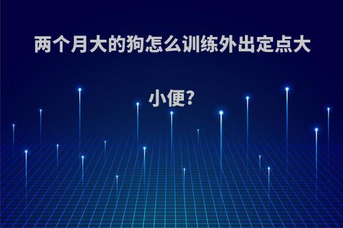 两个月大的狗怎么训练外出定点大小便?